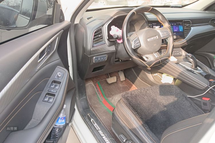 Haval F7x 2020 #18 Haval F7x 2020 car image #18