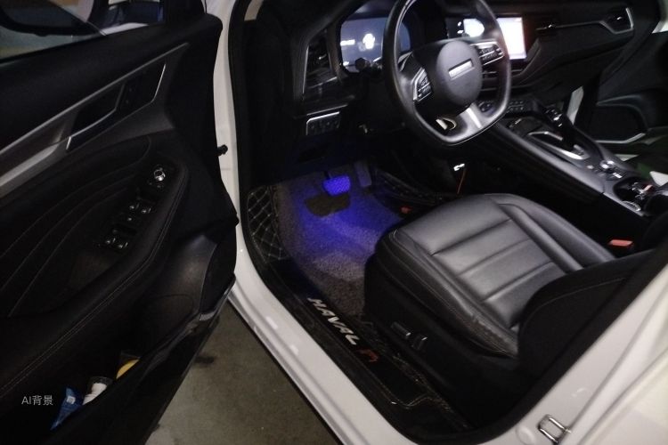 Haval F7 2020 car image #18