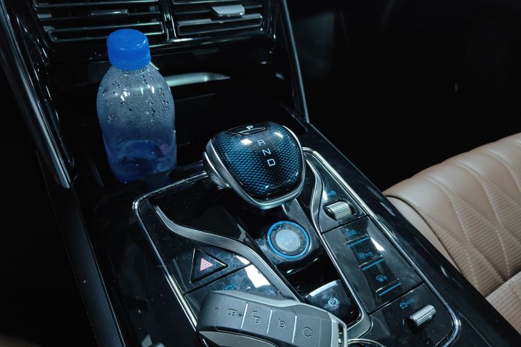 BYD Tang New Energy 2022 car image #18