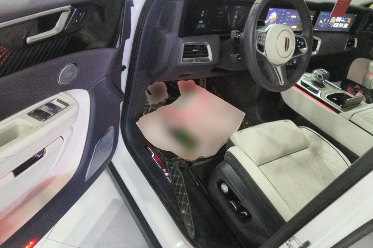 HongQi E-HS9 2023 car image #18