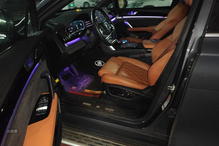 BYD Tang New Energy 2022 car image #18