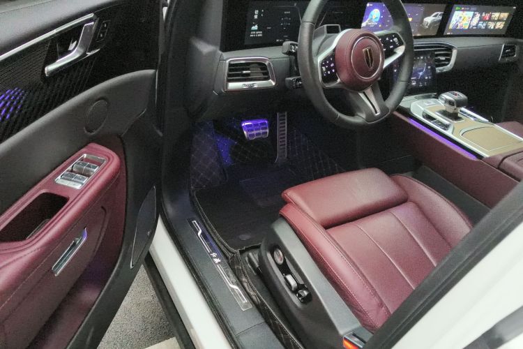 HongQi E-HS9 2023 imagem de carro #18