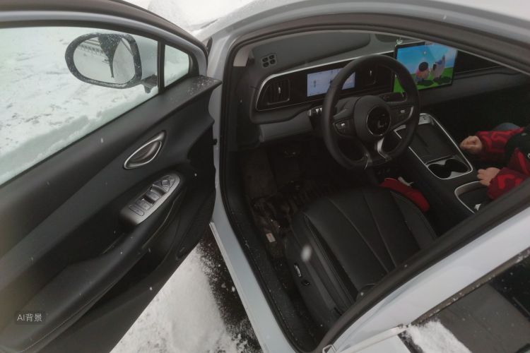 BYD Sea Lion 05 EV 2025 car image #18