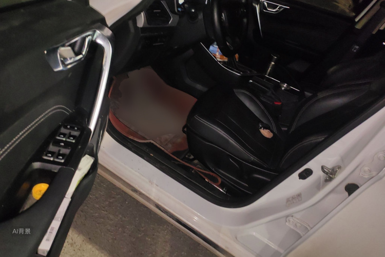 Vision X3 2019 car image #18
