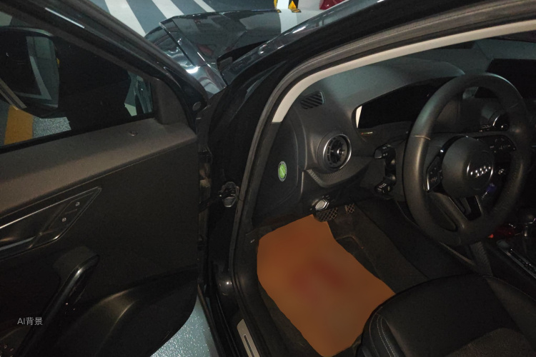 奥迪Q2L e-tron 2020 汽车图片 #18