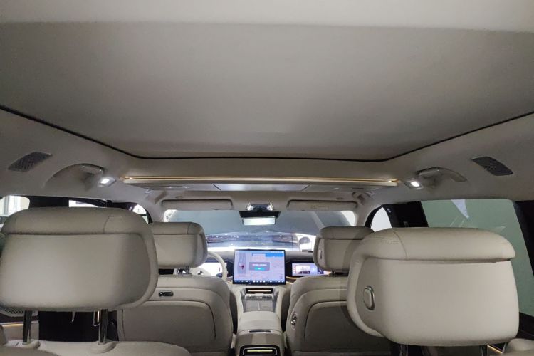 Denza N9 2025 immagine di auto #18