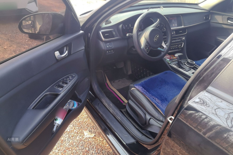 起亚 起亚K5新能源 2019 汽车图片 #18