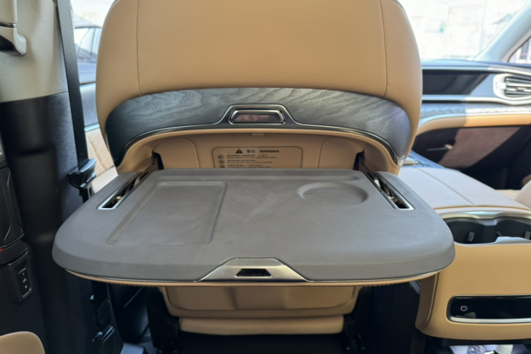 Denza D9 2025 car image #18