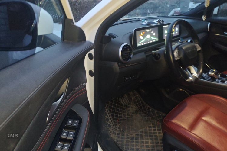 Forthing T5 EVO 2021 immagine di auto #18