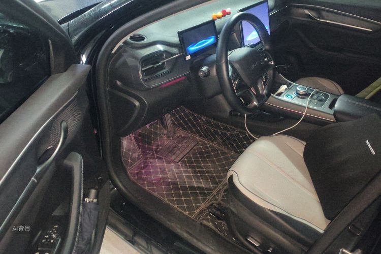 比亚迪 驱逐舰05 2024 汽车图片 #18