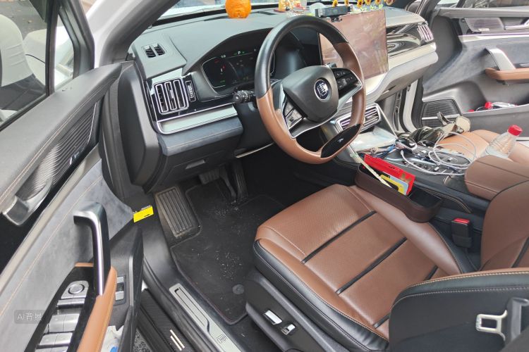 BYD Tang New Energy 2021 car image #18