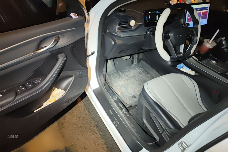 BYD Destroyer 05 2024 car image #18