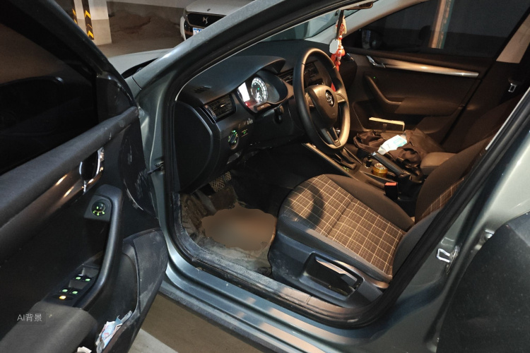 斯柯达 明锐 2017 汽车图片 #18