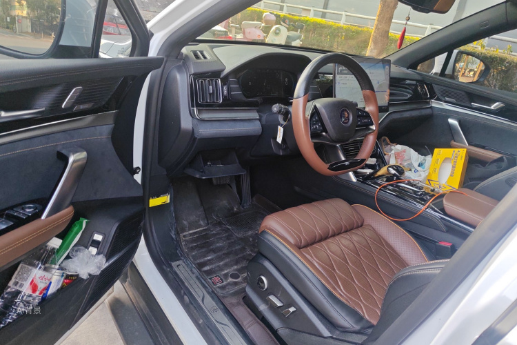 BYD Tang New Energy 2020 car image #18