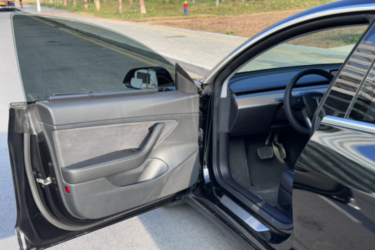 Tesla Model 3 2020 car image #18