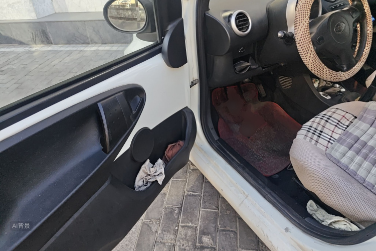 BYD F0 2015 car image #18