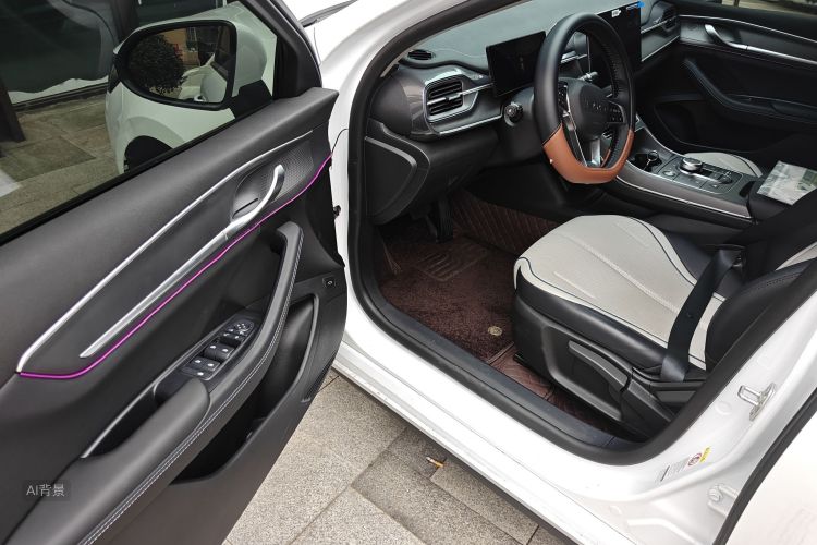 BYD Destroyer 05 2024 صورة سيارة #18