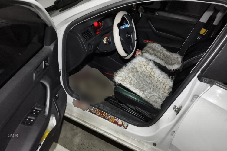 Santana 2021 car image #18