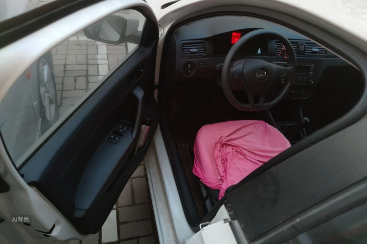 Santana 2022 immagine di auto #18