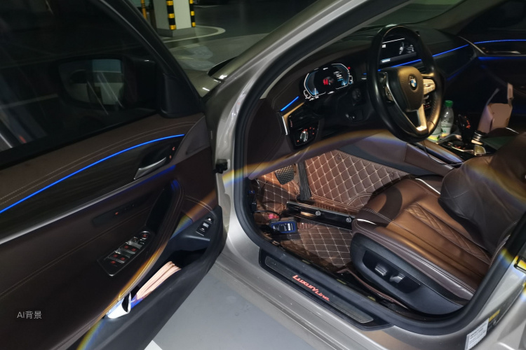 BMW 5 Series New Energy 2020 car image #18