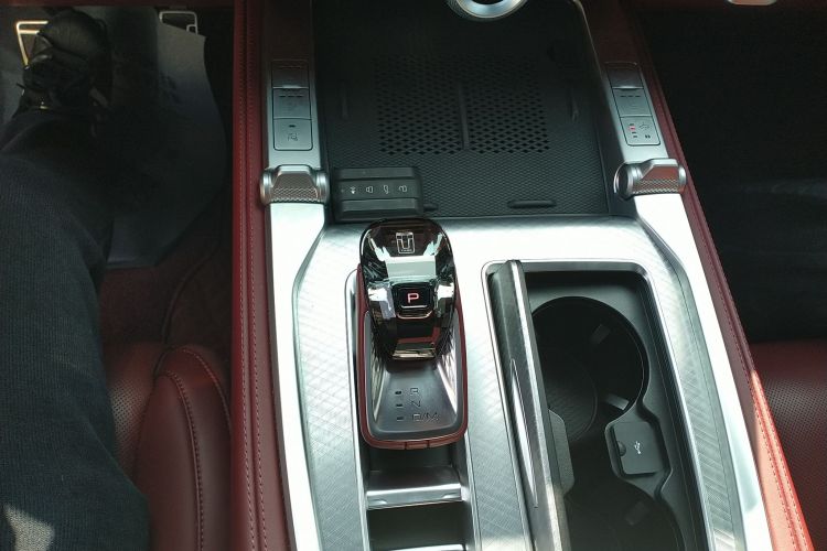 Tank 700 New Energy 2024 car image #18