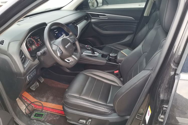 Haval F7x 2020 car image #18