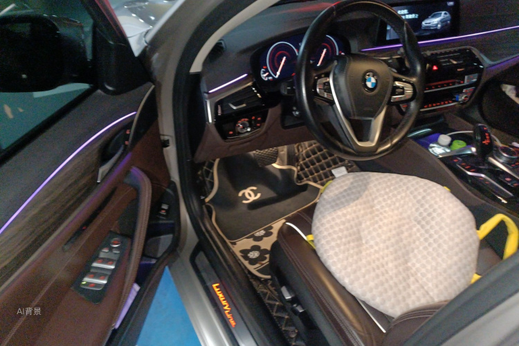 BMW 5 Series 2019 immagine di auto #18