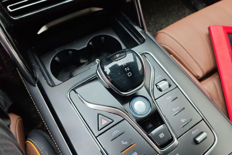 BYD Tang New Energy 2022 car image #18