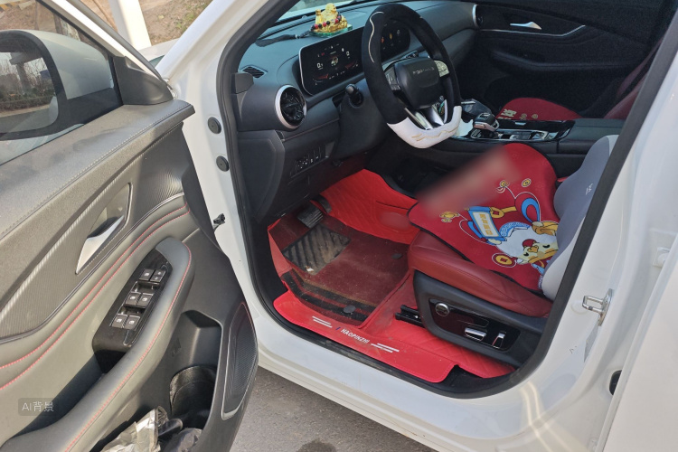 T5 EVO 2021 #18 T5 EVO 2021 car image #18