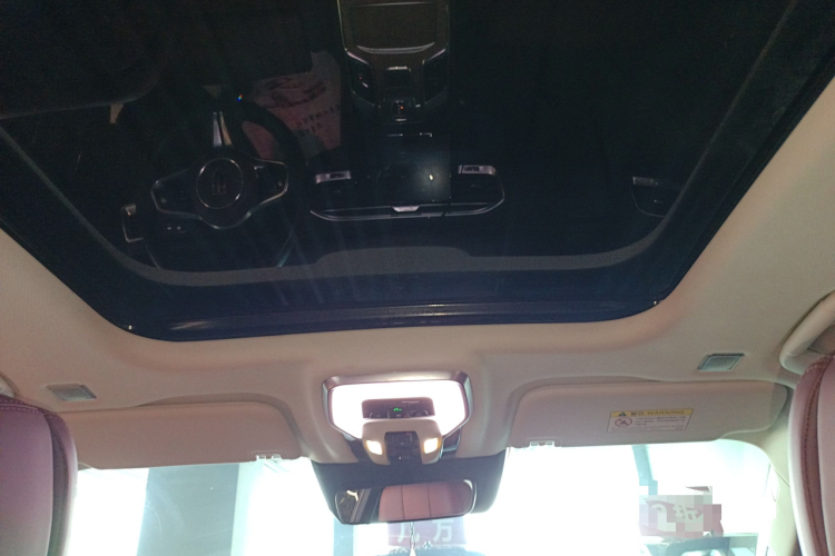 HongQi E-HS9 2021 صورة سيارة #18