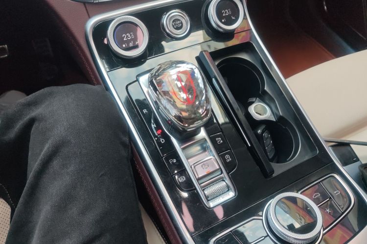 HongQi H9 2021 car image #18