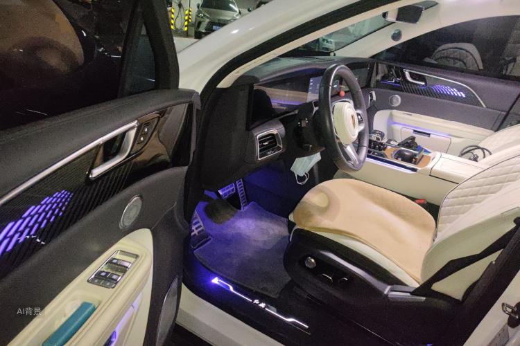 HongQi E-HS9 2022 car image #18