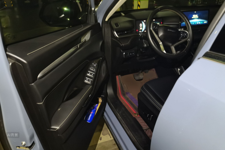 Haval H6 2021 immagine di auto #18