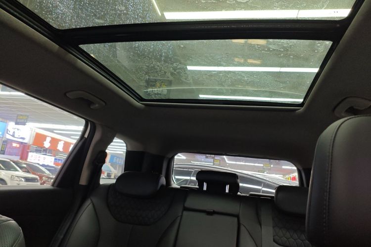 Hyundai Santa Fe 2019 car image #18