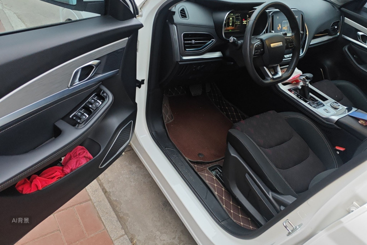 X70 PLUS 2021 car image #18