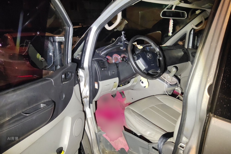 Forthing Lingzhi 2016 صورة سيارة #18