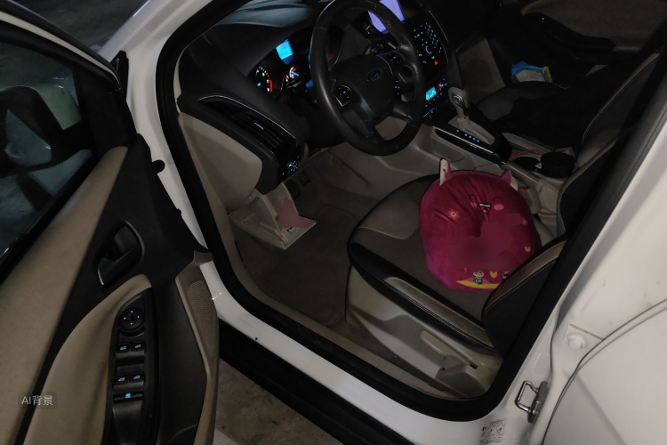 Ford Focus 2014 car image #18