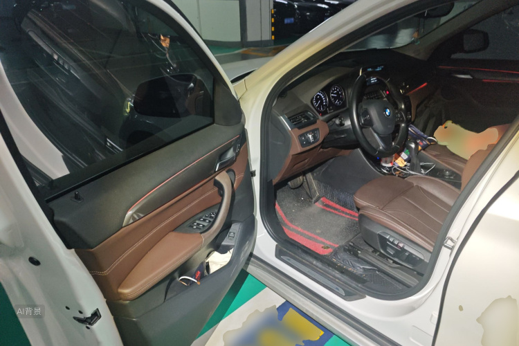 BMW X1 2019 car image #18