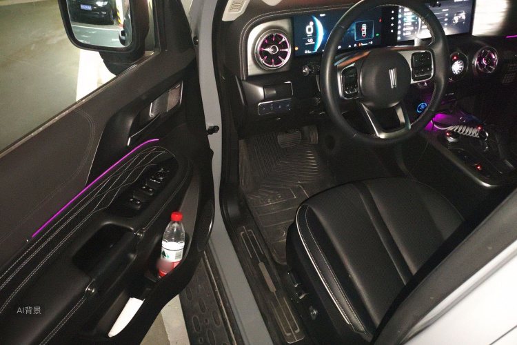 Tank 300 2021 immagine di auto #18