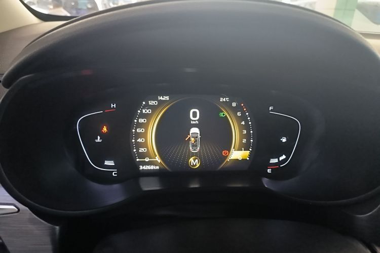 Emgrand GS 2021 car image #18