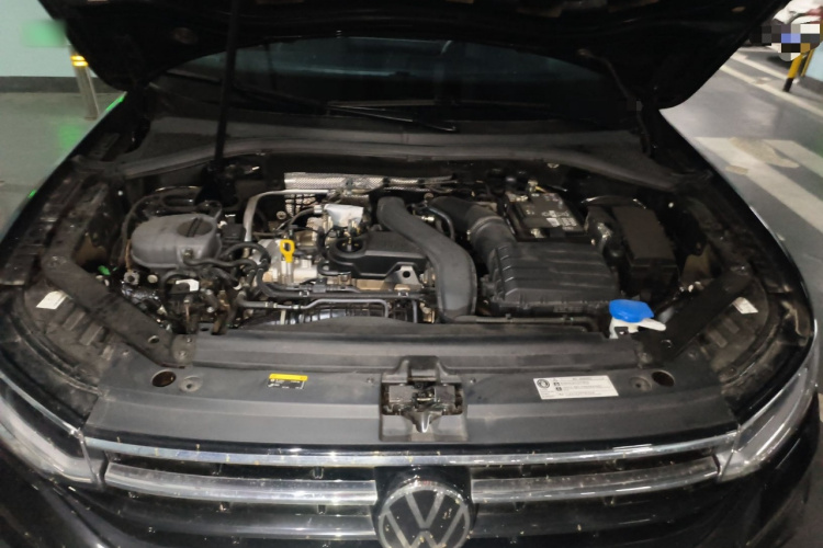 Volkswagen Tiguan L 2024 car image #18