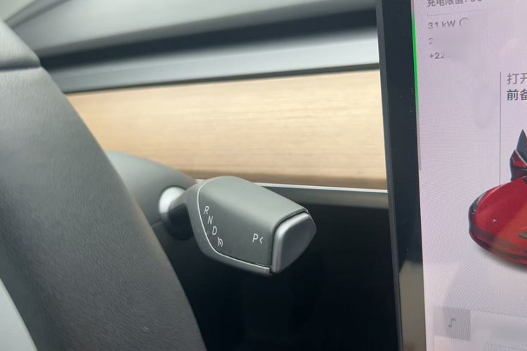 特斯拉 Model 3 2020 汽车图片 #18