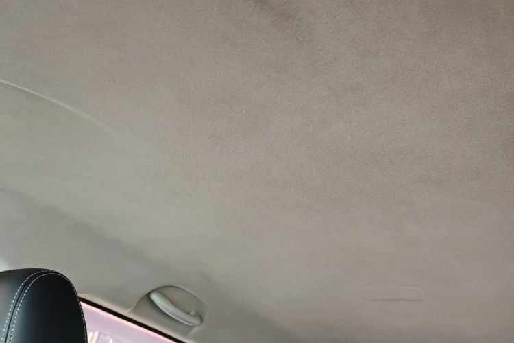X70M 2021 car image #18