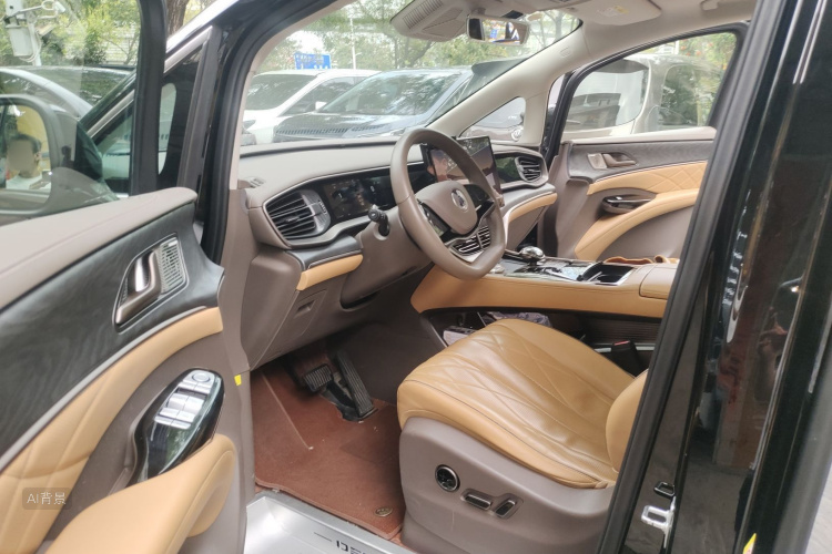 Denza D9 2023 imagem de carro #18