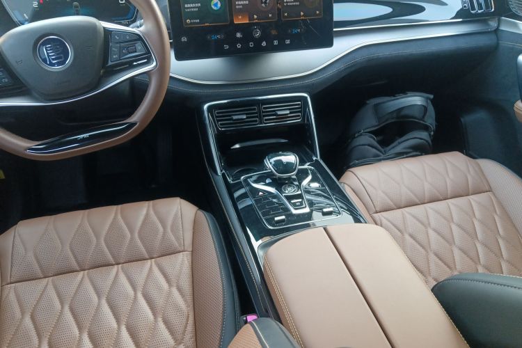 BYD Tang New Energy 2022 car image #18