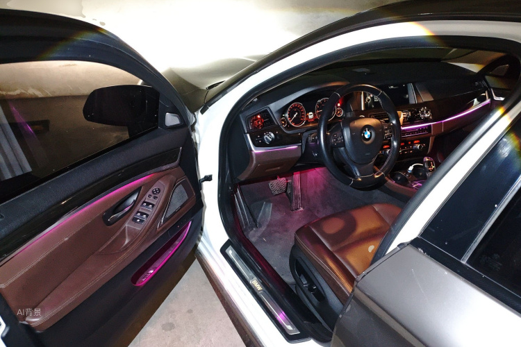 BMW 5 Series 2015 car image #18