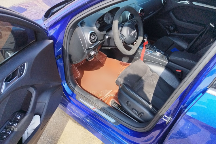 奥迪 奥迪S3 2017 汽车图片 #18