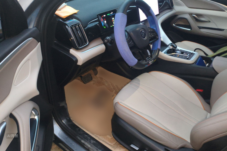 BYD Song Pro New Energy 2024 car image #18