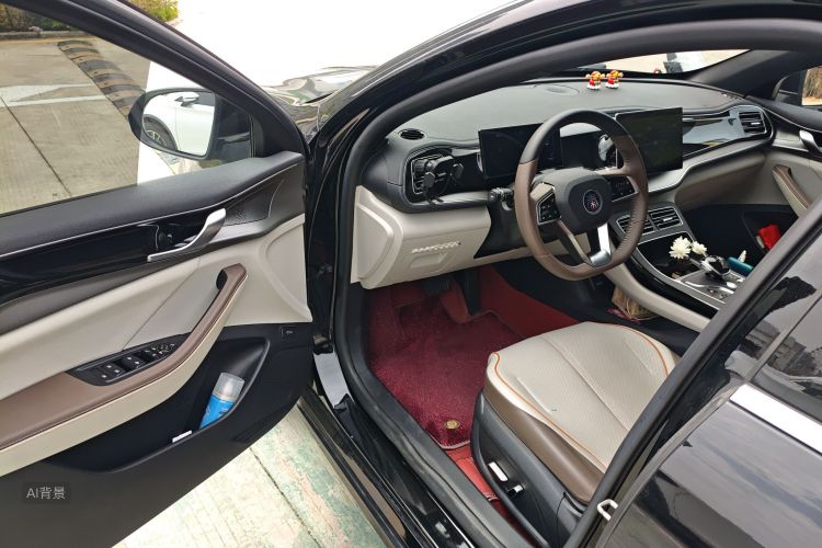 BYD Qin Plus 2023 car image #18