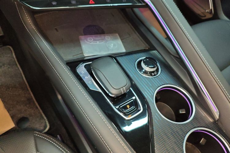 极氪 极氪001 2022 汽车图片 #18